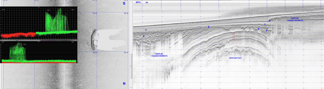 Multibeam, Side Scan Sonar and Sub Bottom Profiler Data Examples